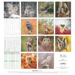 Calendario 2026 Owls cm 30x30