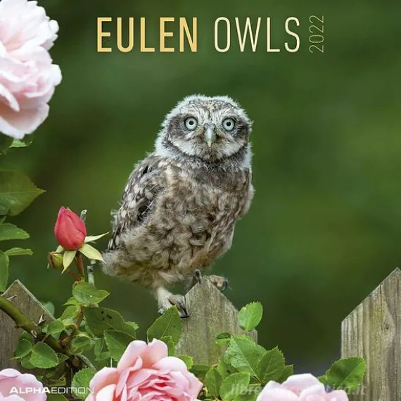 Calendario 2022 Owls 30x30