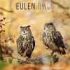 Calendario 2019 Owls 30x30 cm