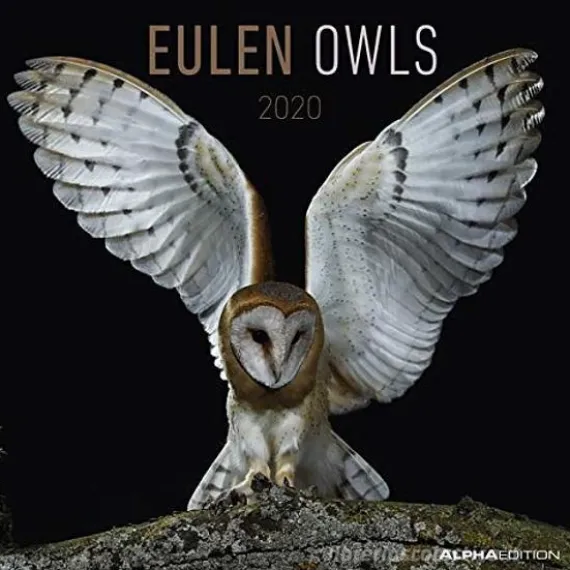 Calendario 2020 Owls 30x30 cm