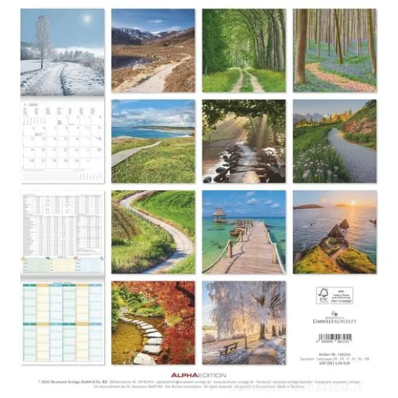 Calendario 2026 Paths cm 30x30