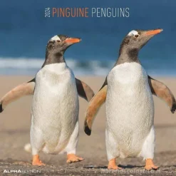 Calendario 2024 Penguins cm 30x30