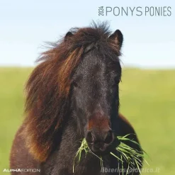 Calendario 2024 Ponies cm 30x30