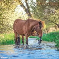 Calendario 2025 Ponies cm 30x30