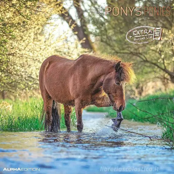 Calendario 2025 Ponies cm 30x30