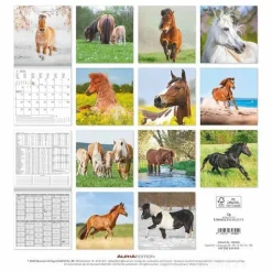 Calendario 2025 Ponies cm 30x30
