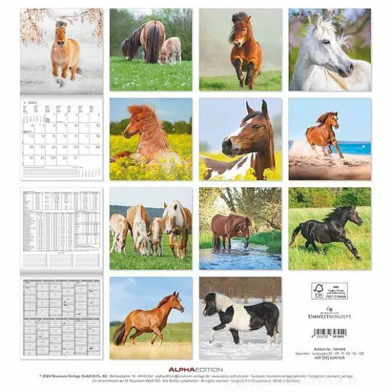 Calendario 2025 Ponies cm 30x30