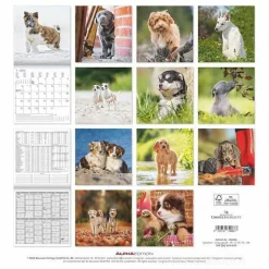 Calendario 2025 Puppies cm 30x30