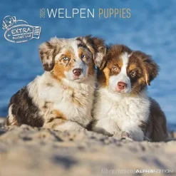 Calendario 2025 Puppies cm 30x30