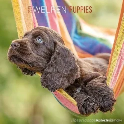Calendario 2023 Puppies 30x30