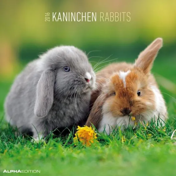 Calendario 2016 Rabbits