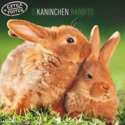 Calendario 2025 Rabbits cm 30x30
