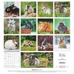 Calendario 2025 Rabbits cm 30x30
