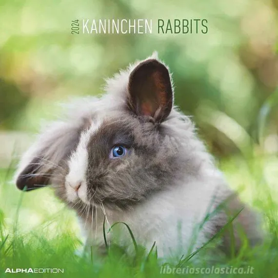 Calendario 2024 Rabbits cm 30x30
