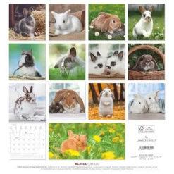 Calendario 2026 Rabbits cm 30x30