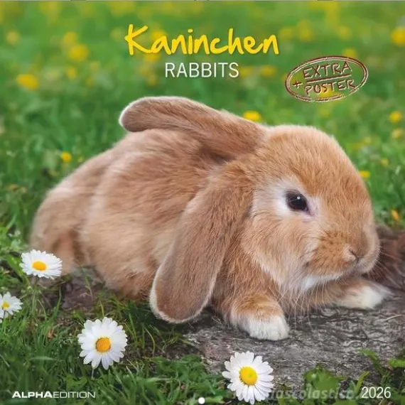Calendario 2026 Rabbits cm 30x30