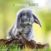 Calendario 2023 Rabbits 30x30