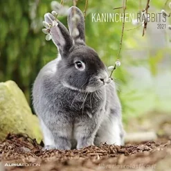 Calendario 2021 Rabbits 30x30