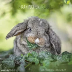 Calendario 2022 Rabbits 30x30