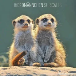 Calendario 2024 Suricates cm 30x30