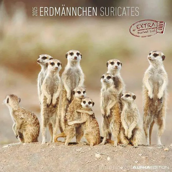 Calendario 2025 Suricates cm 30x30