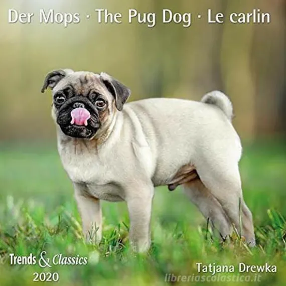 Calendario 2022 The Pug Dog 30x30