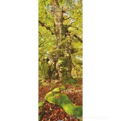 Calendario 2024 Trees cm 34x98