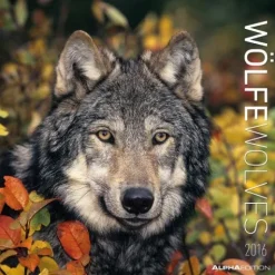 Calendario 2016 Wolfs