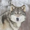 Calendario 2025 Wolves cm 30x30