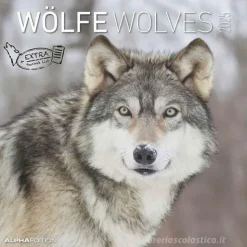 Calendario 2025 Wolves cm 30x30