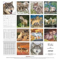 Calendario 2025 Wolves cm 30x30
