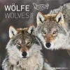 Calendario 2026 Wolves cm 30x30