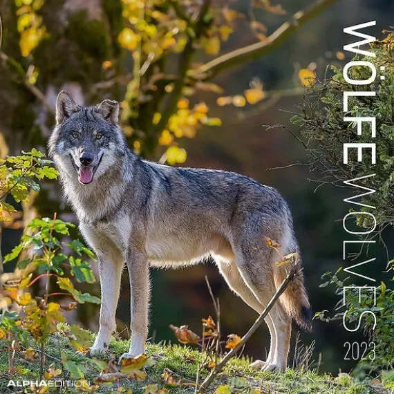 Calendario 2023 Wolves 30x30