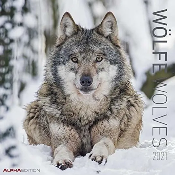 Calendario 2021 Wolves 30x30