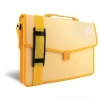 Cartella in polipropilene con cinghia cm 38x27x8