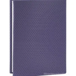 Comix 2024-2025. Agenda 16 mesi standard Special Edition Mesh Viola