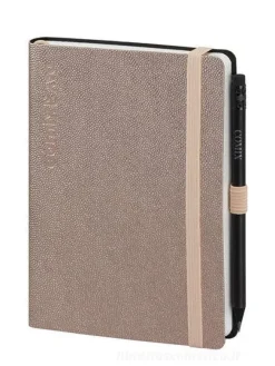 Comix Day 2020 Luxury. Agenda 12 mesi mini con matita. Rose gold