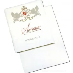 Confezione carta da lettere Diplomatica 10 fogli e 10 buste cm 11x17