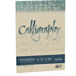 Confezione 50 fogli carta pergamena Calligraphy A4 cm 21x29,7 gr 90 colore crema