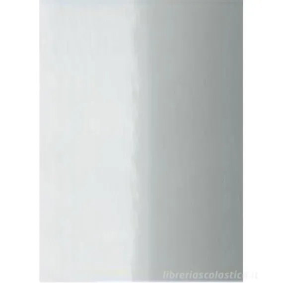 Confezione 10 fogli cartoncino argento cm 50x70 240 gr
