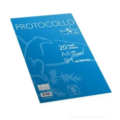 Confezione 20 fogli protocollo formato A4 5M