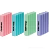 Confezione 2 gomme per cancellare Pantone (colori assortiti)