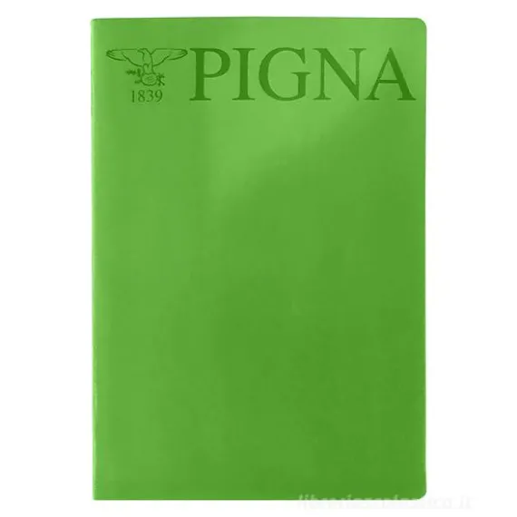 Confezione 10 Maxi Quaderni formato A4 a quadretti 4mm verde