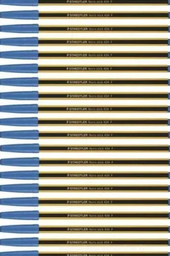 Confezione 20 penne a sfera a punta fine Noris Stick 434 blu