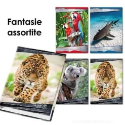 Copertina 4 anelli A4 Animali (soggetti assortiti)