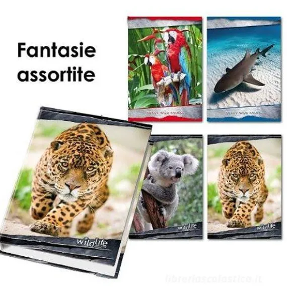 Copertina 4 anelli A4 Animali (soggetti assortiti)