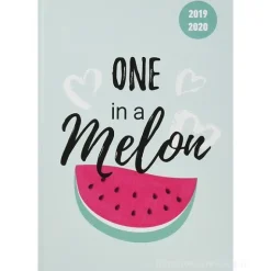 Diario agenda 16 mesi giornaliera 2019-2020 Collegetimer A6 Melon