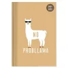 Diario agenda 16 mesi settimanale 2021-2022 Collegetimer A5 Llama