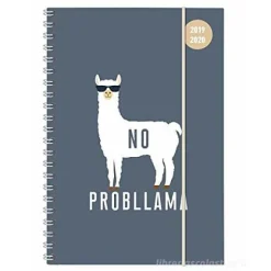 Diario agenda 16 mesi spiralata settimanale 2019-2020 Collegetimer A5 Llama