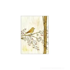 Green Booklets triple pack Naoko